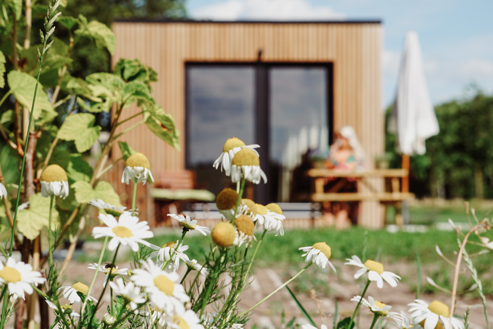 Houten cabin Houten cabin